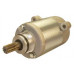 AFTERMARKET 19031N STR-SUZUKI PMDD 12V