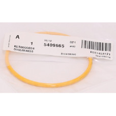 CATERPILLAR 5M3038 SEAL O R