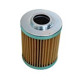 SF FILTER 1.0060P25-A00-0-M, 10060P25A000M HYDRAULIKFILTER